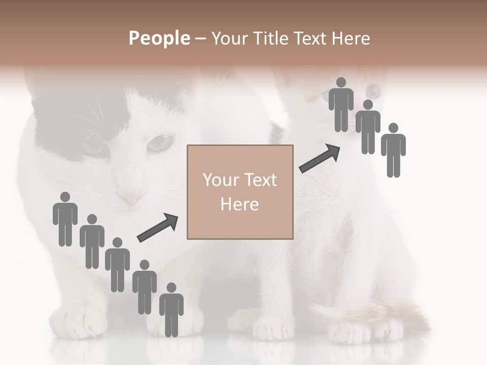 Boardroom People Humorou PowerPoint Template