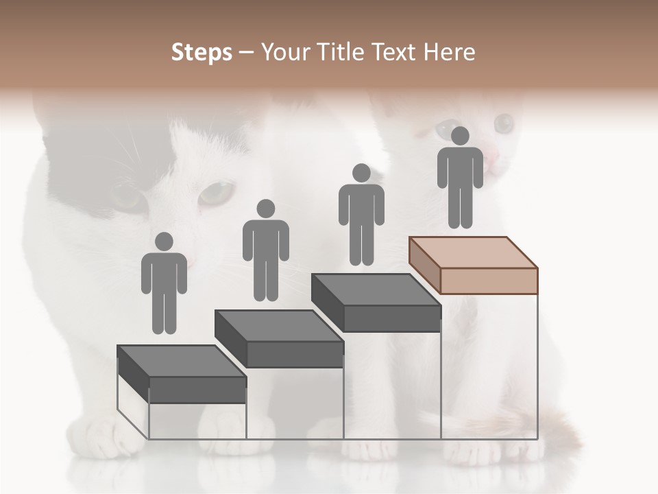 Boardroom People Humorou PowerPoint Template