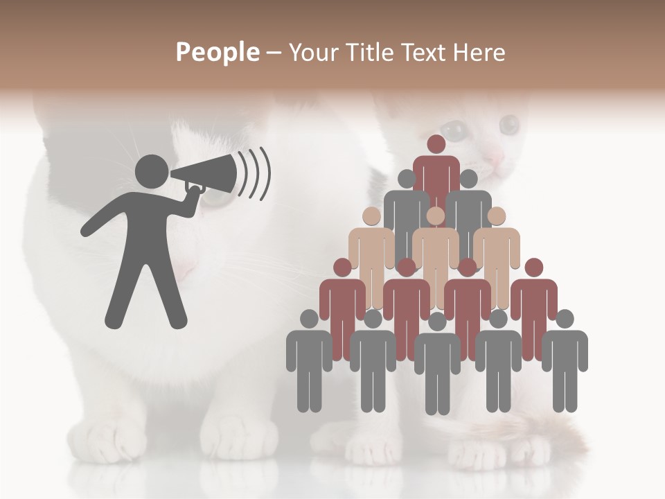Boardroom People Humorou PowerPoint Template