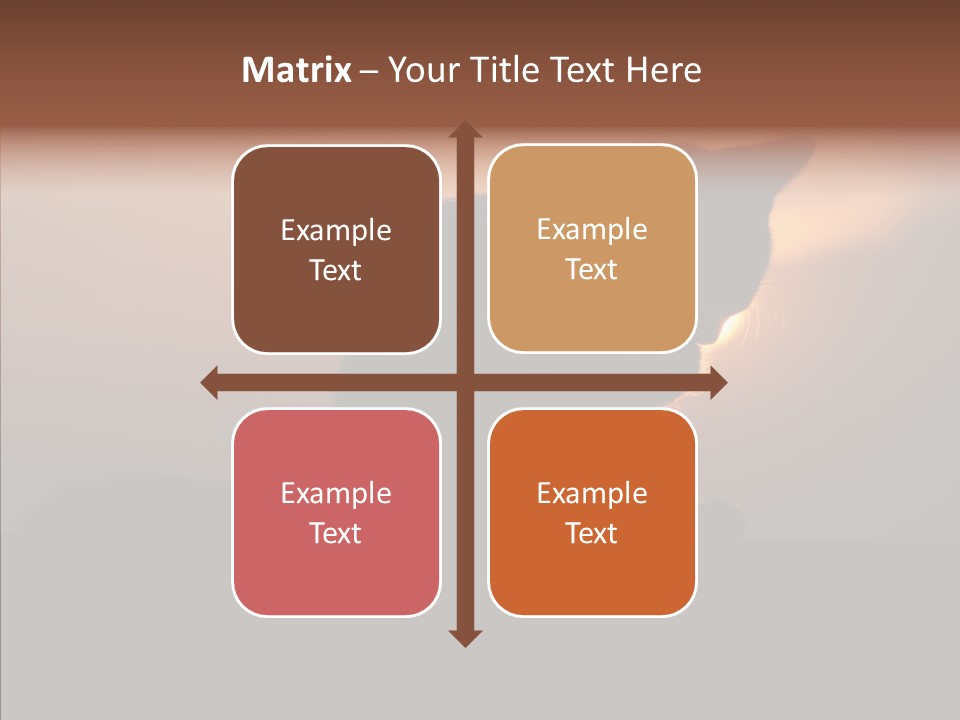 Management Communication Company PowerPoint Template