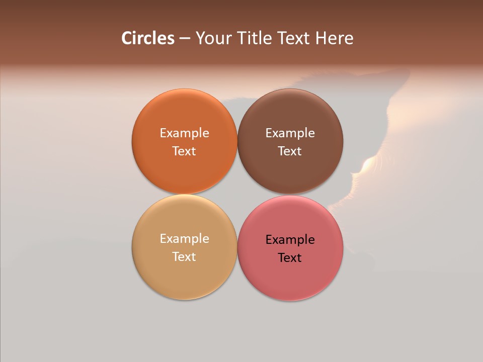 Management Communication Company PowerPoint Template
