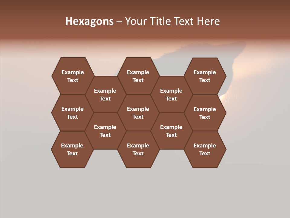 Management Communication Company PowerPoint Template