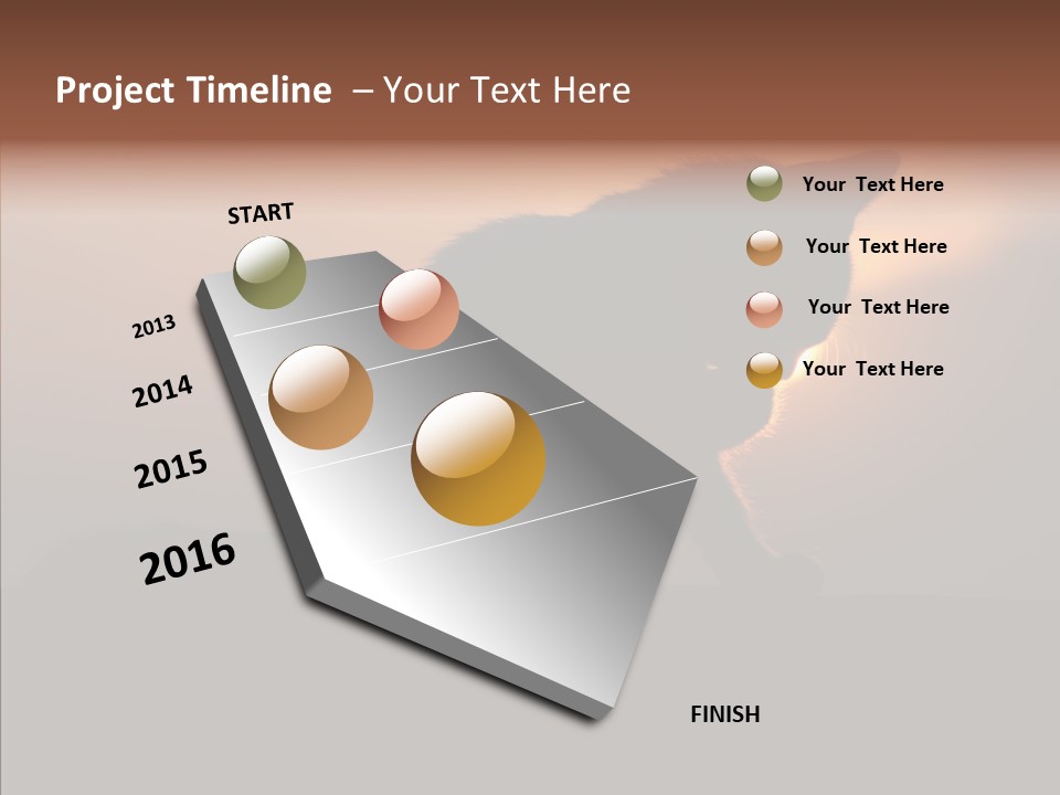 Management Communication Company PowerPoint Template