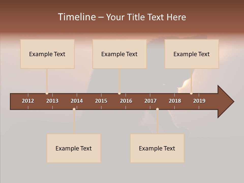 Management Communication Company PowerPoint Template