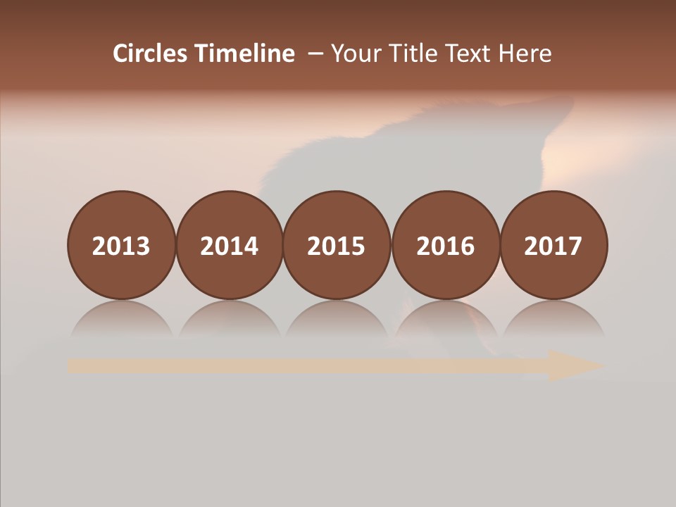 Management Communication Company PowerPoint Template