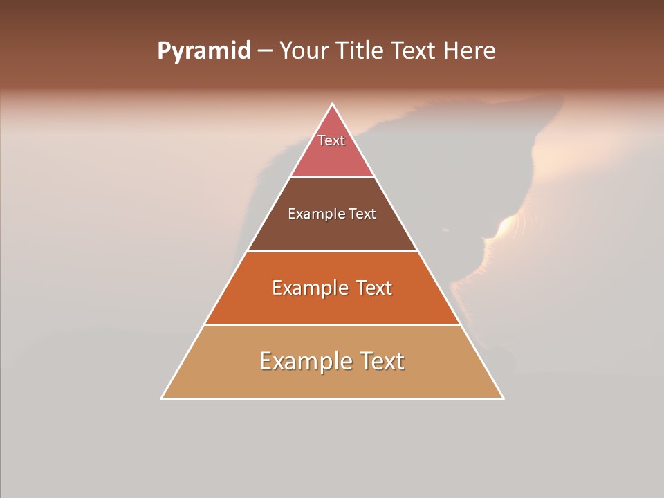 Management Communication Company PowerPoint Template