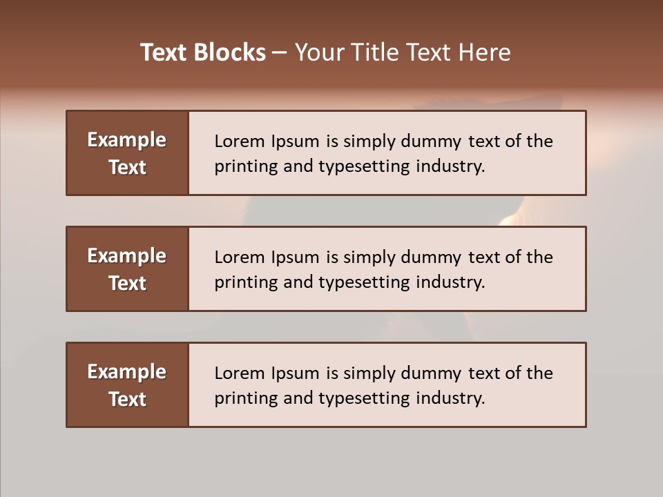 Management Communication Company PowerPoint Template