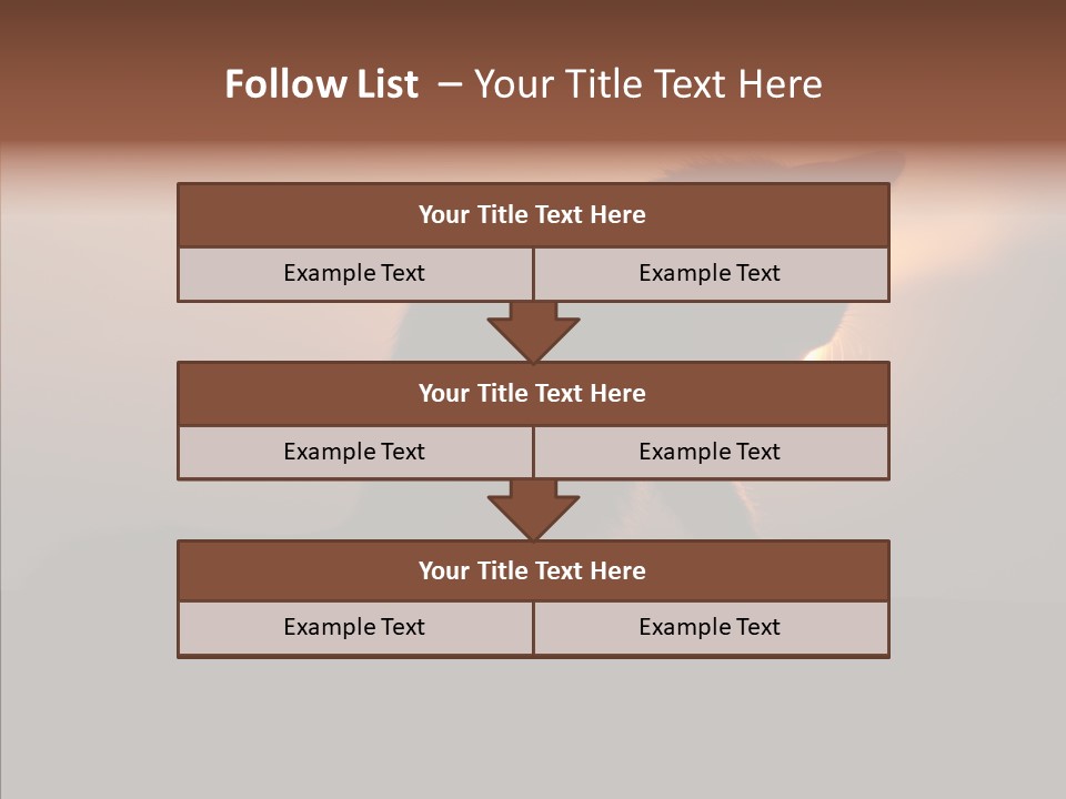 Management Communication Company PowerPoint Template