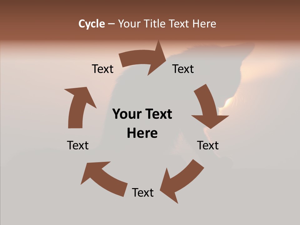 Management Communication Company PowerPoint Template