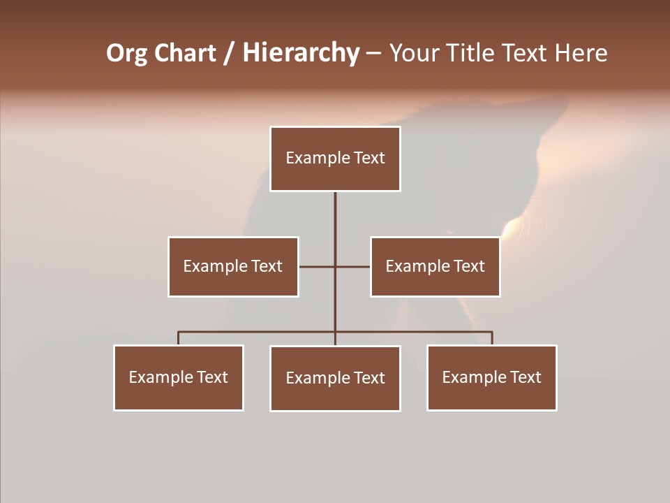 Management Communication Company PowerPoint Template