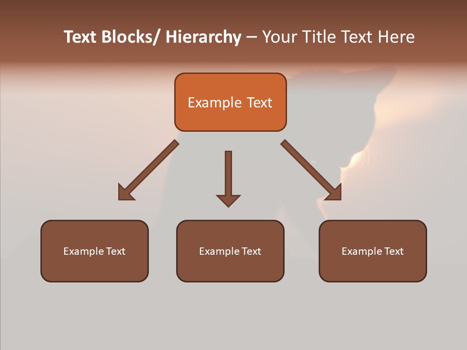 Management Communication Company PowerPoint Template