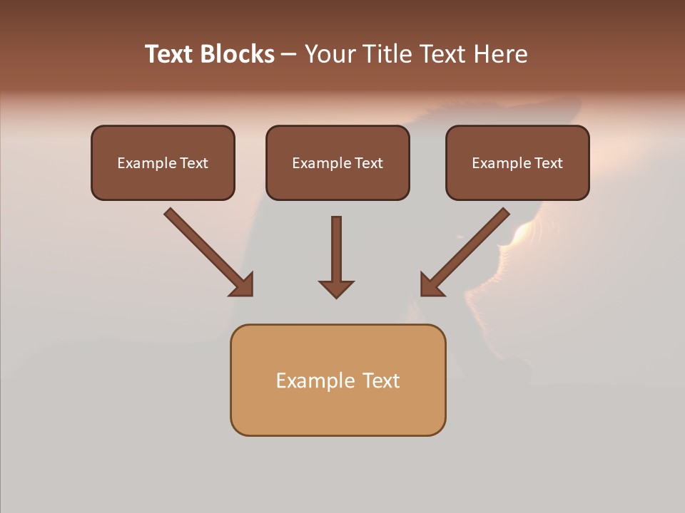 Management Communication Company PowerPoint Template