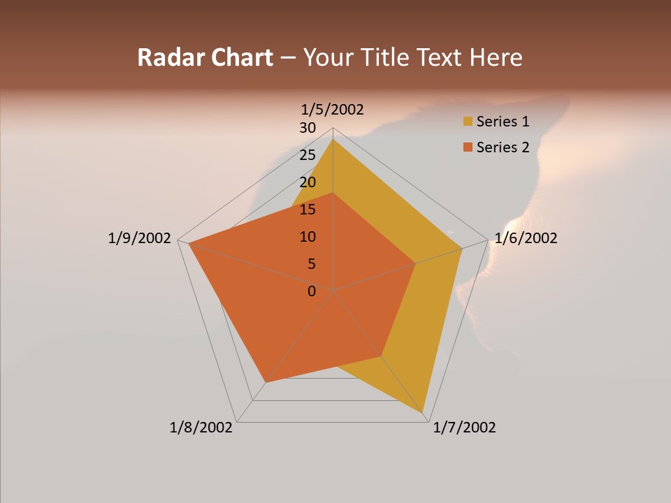 Management Communication Company PowerPoint Template