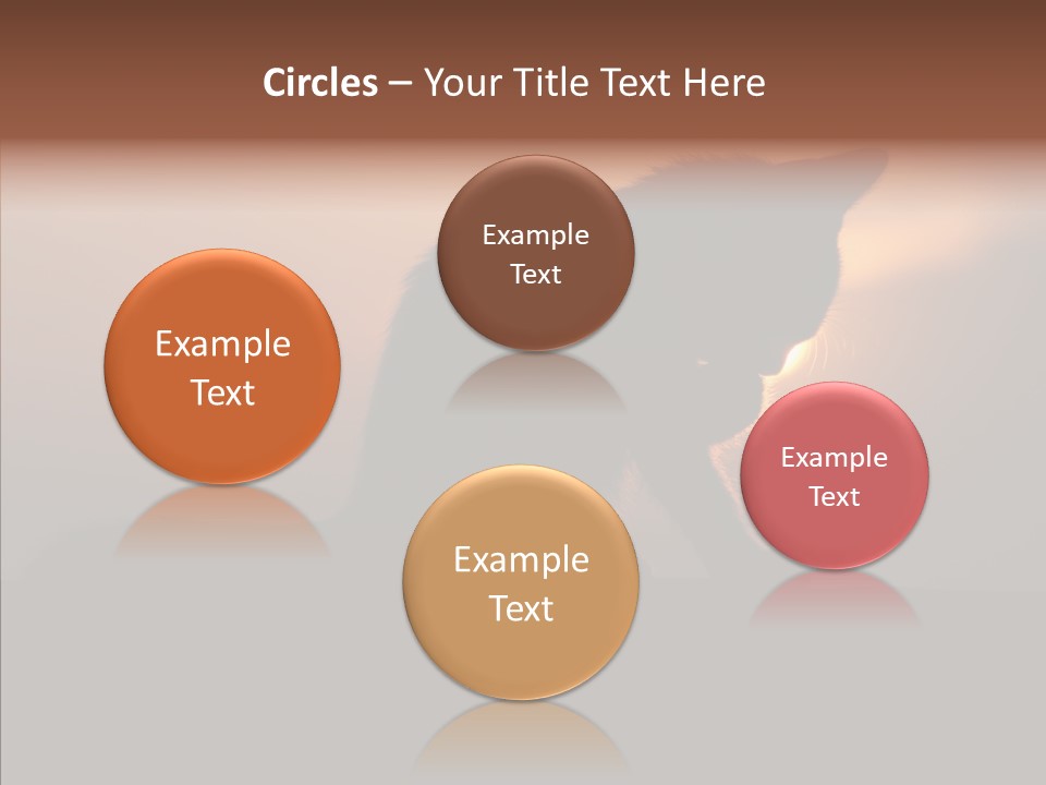 Management Communication Company PowerPoint Template