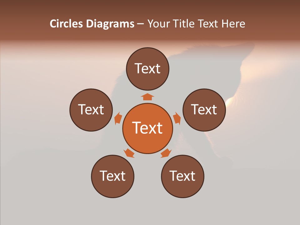 Management Communication Company PowerPoint Template