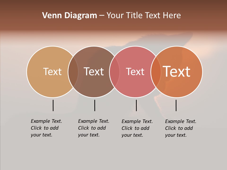 Management Communication Company PowerPoint Template