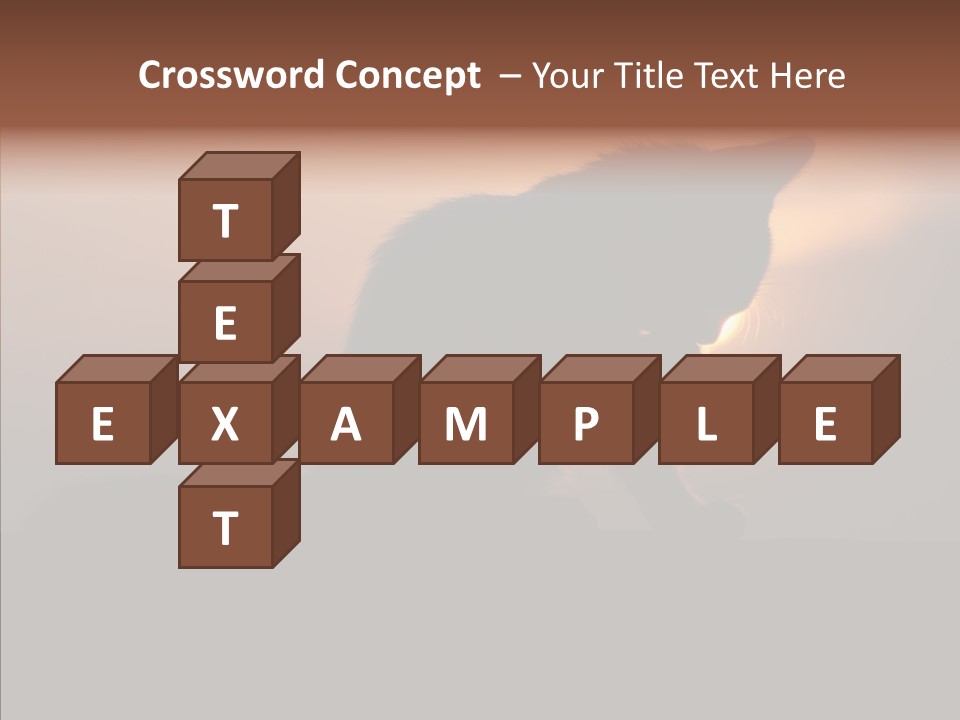 Management Communication Company PowerPoint Template