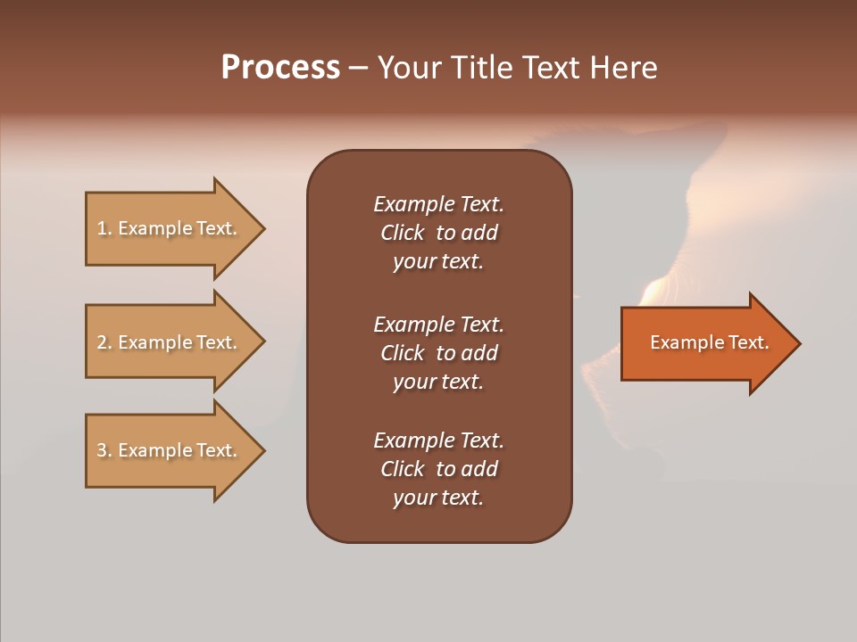 Management Communication Company PowerPoint Template