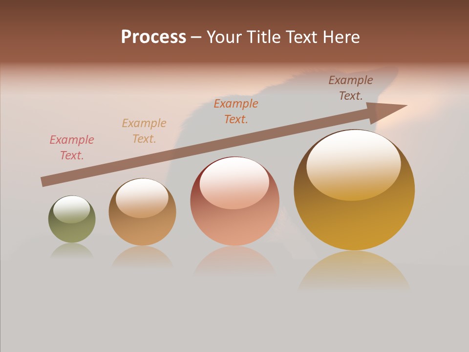 Management Communication Company PowerPoint Template