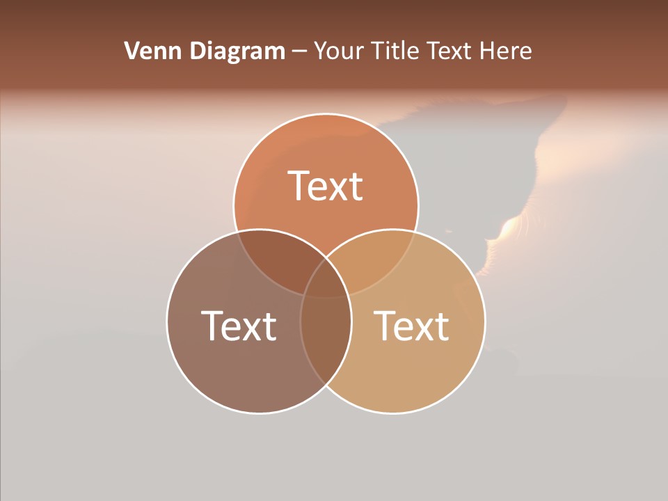 Management Communication Company PowerPoint Template