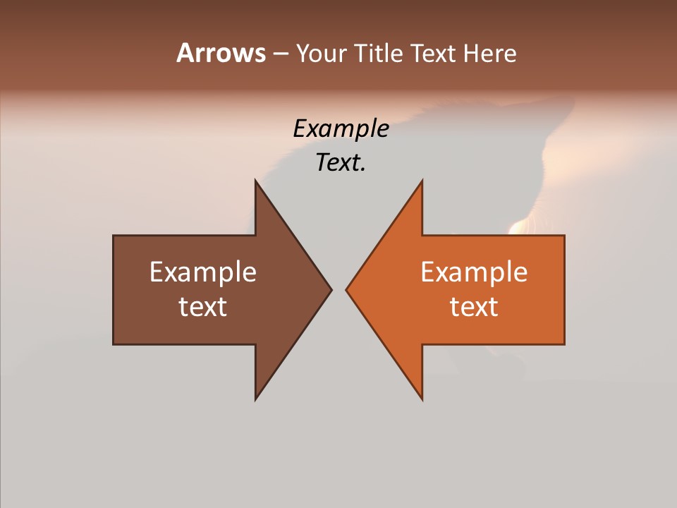 Management Communication Company PowerPoint Template