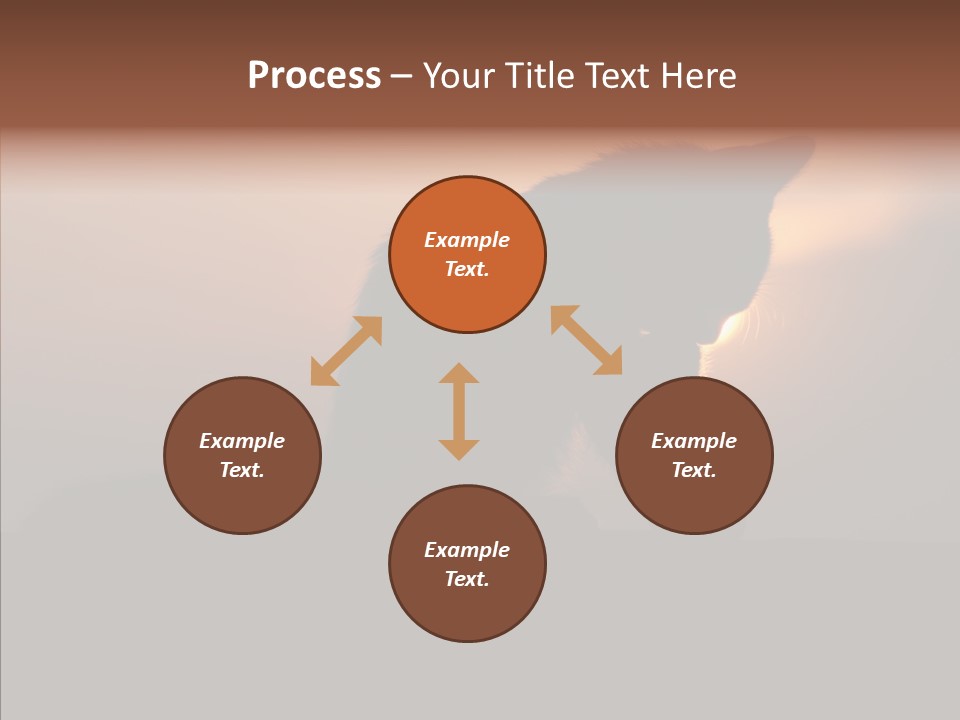 Management Communication Company PowerPoint Template