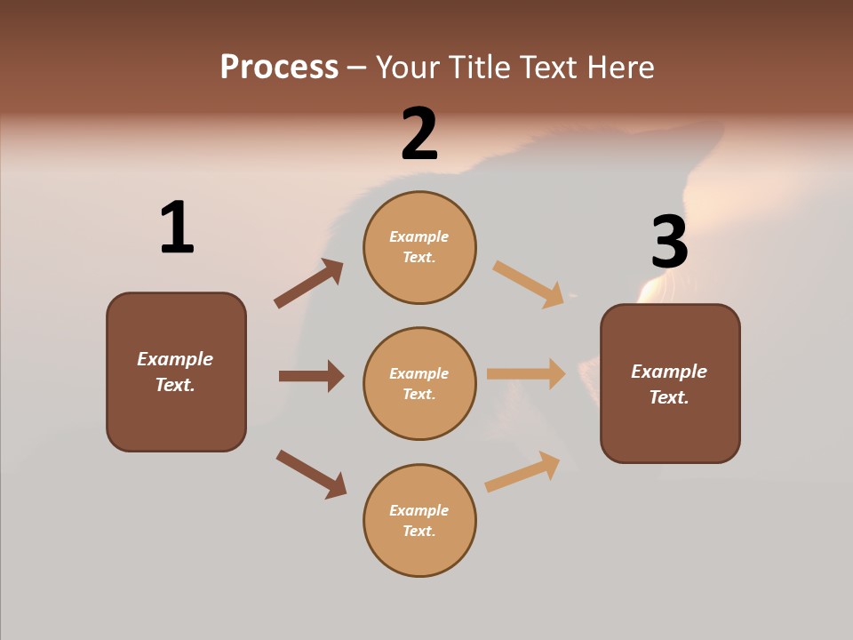 Management Communication Company PowerPoint Template