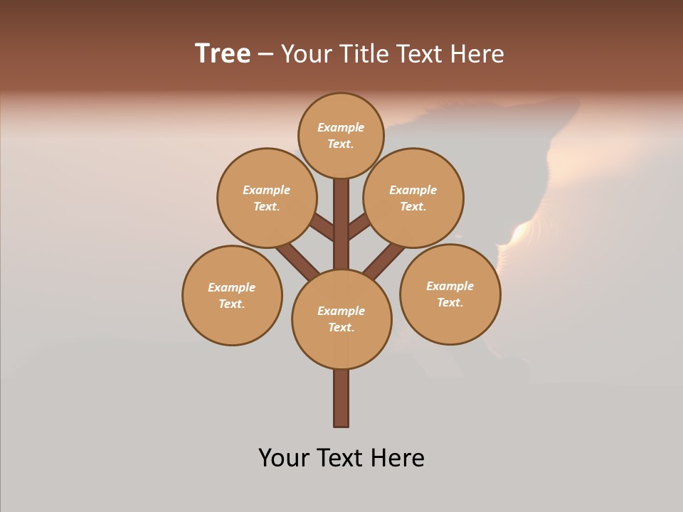 Management Communication Company PowerPoint Template