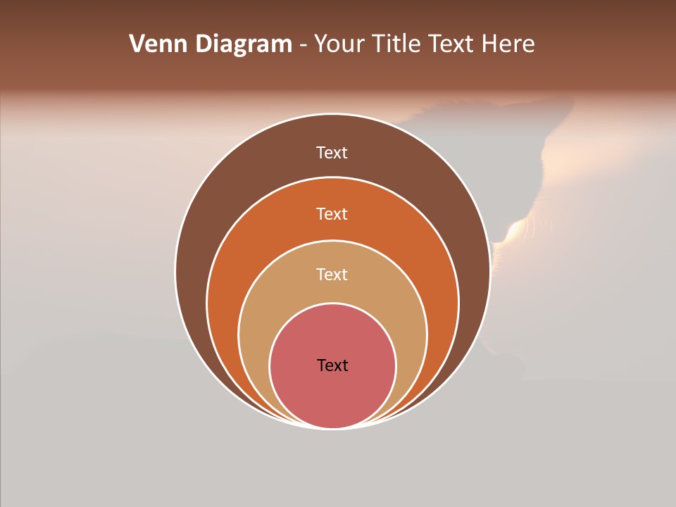 Management Communication Company PowerPoint Template