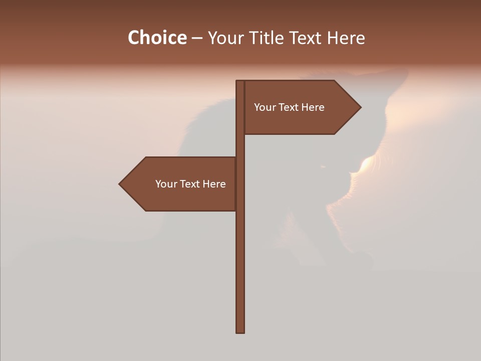 Management Communication Company PowerPoint Template