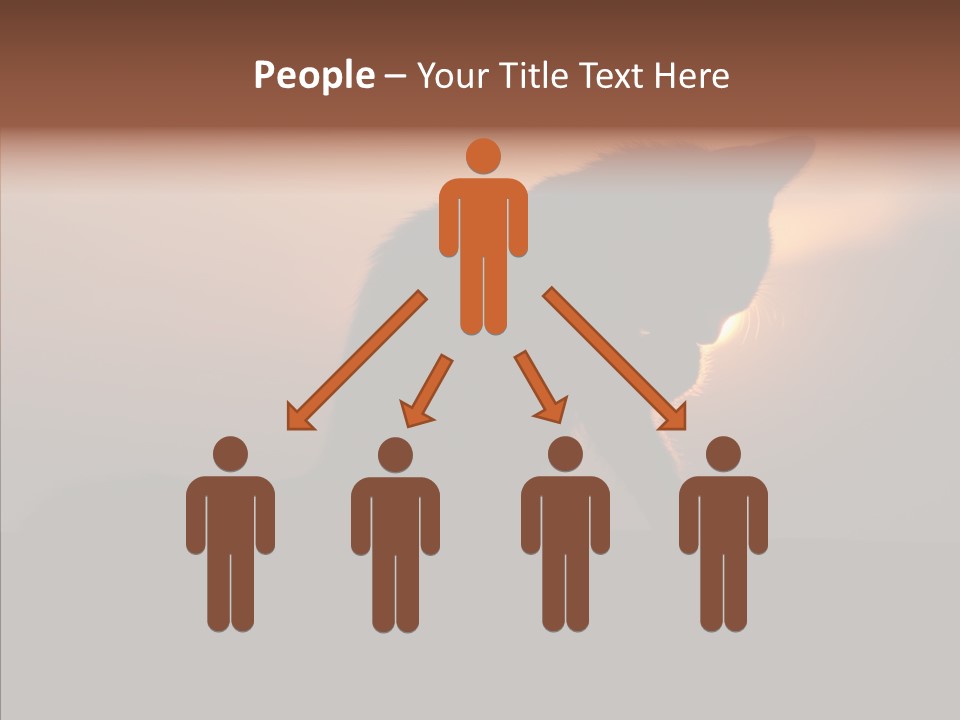 Management Communication Company PowerPoint Template