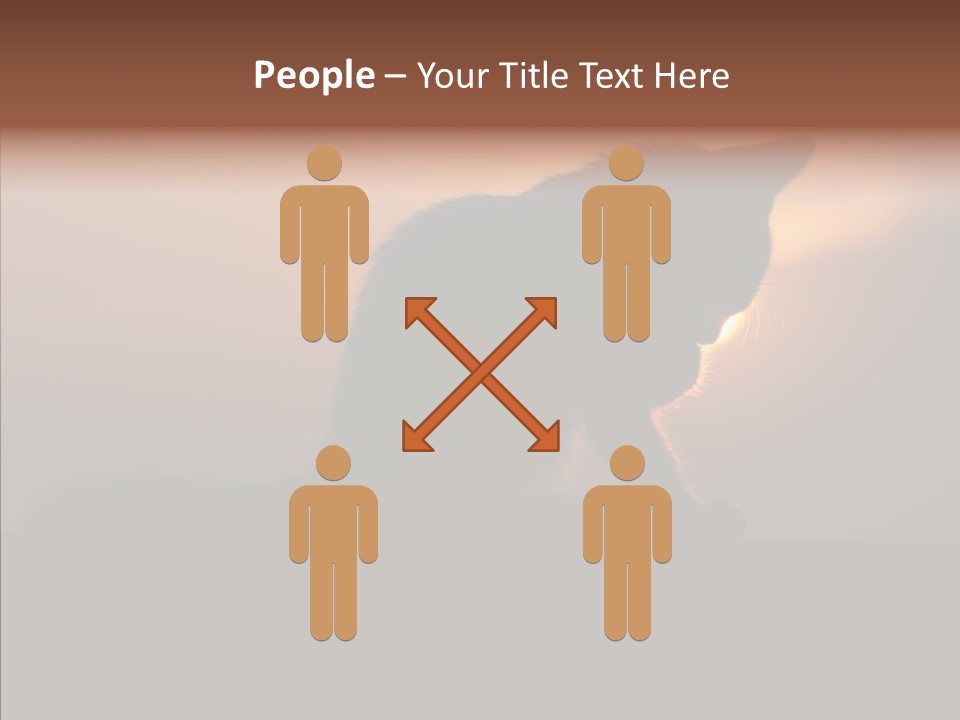 Management Communication Company PowerPoint Template