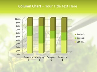 Cholesterol Cook Fresh PowerPoint Template