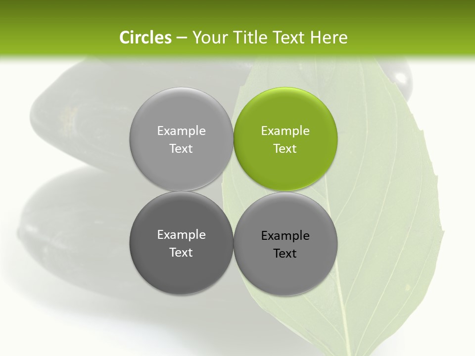 Stone Bamboo Back PowerPoint Template