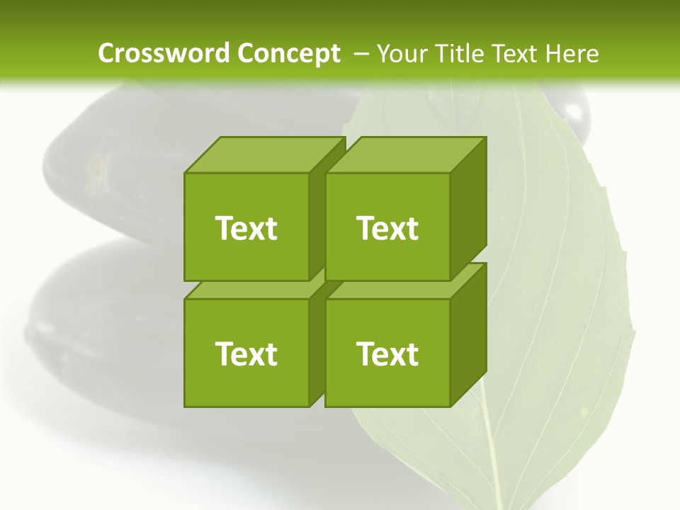 Stone Bamboo Back PowerPoint Template