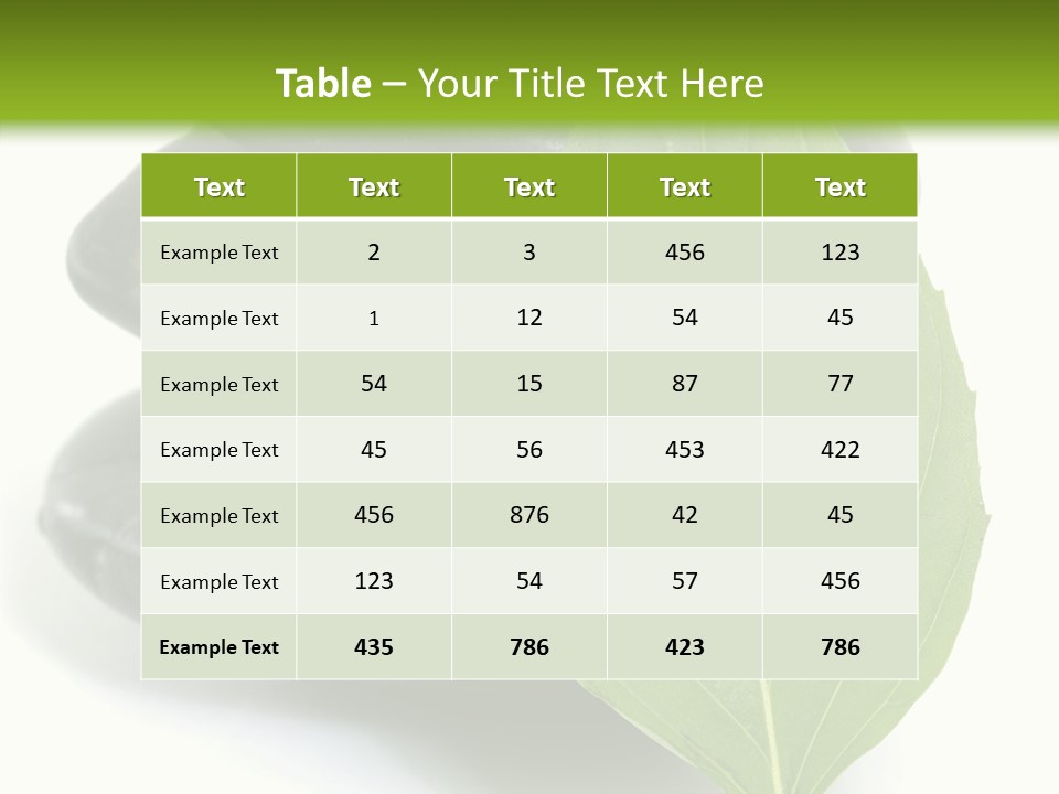 Stone Bamboo Back PowerPoint Template