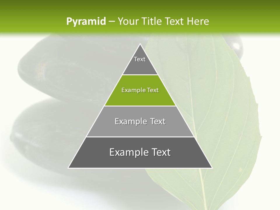 Stone Bamboo Back PowerPoint Template