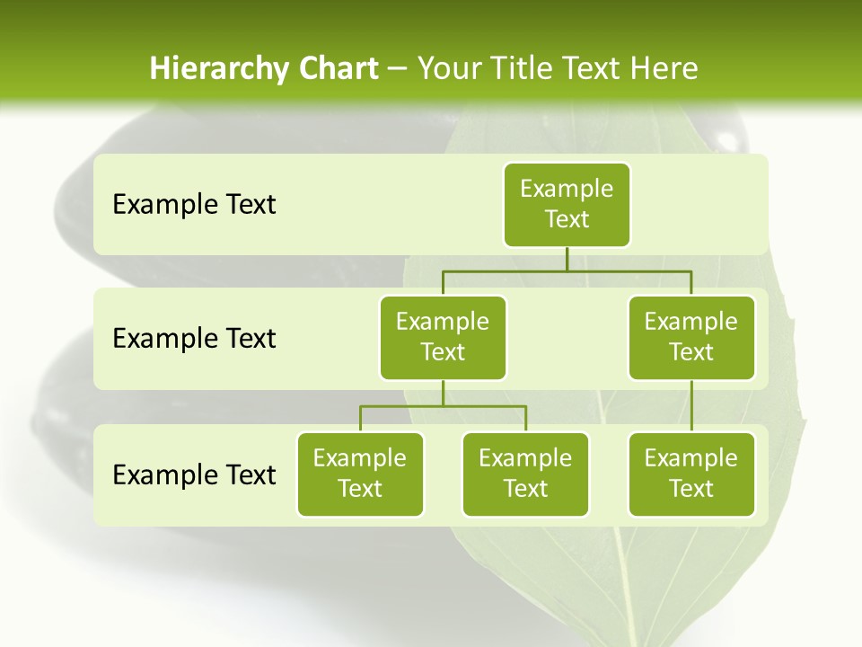 Stone Bamboo Back PowerPoint Template