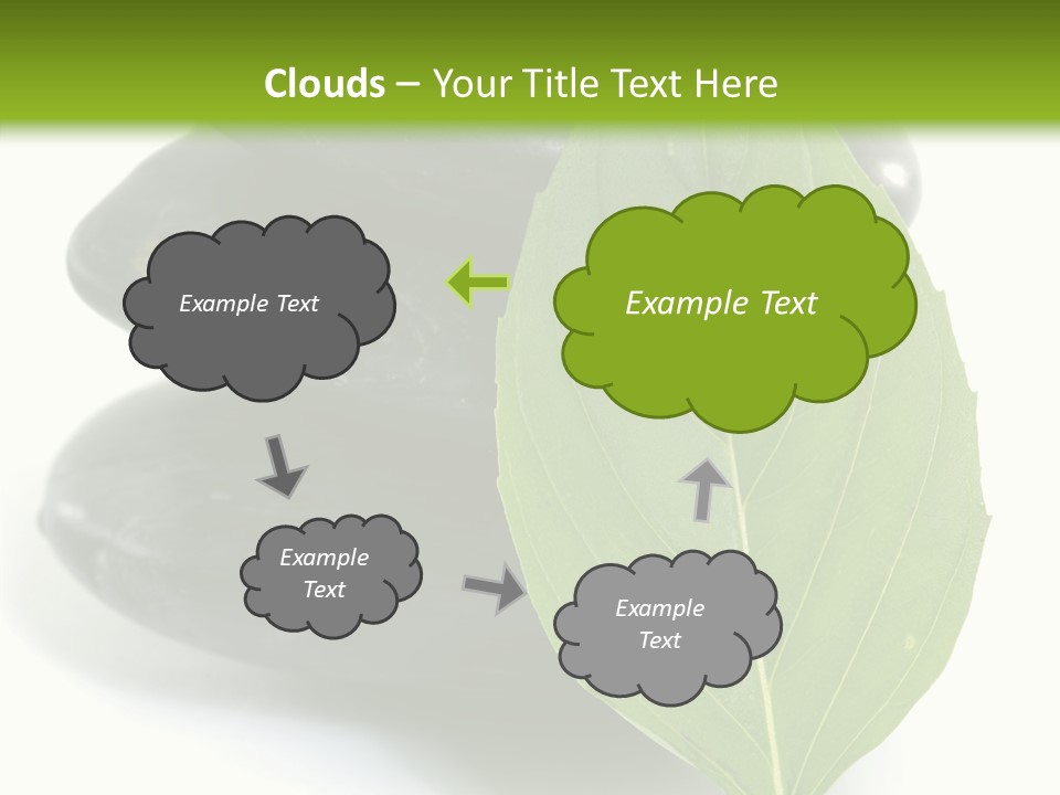 Stone Bamboo Back PowerPoint Template