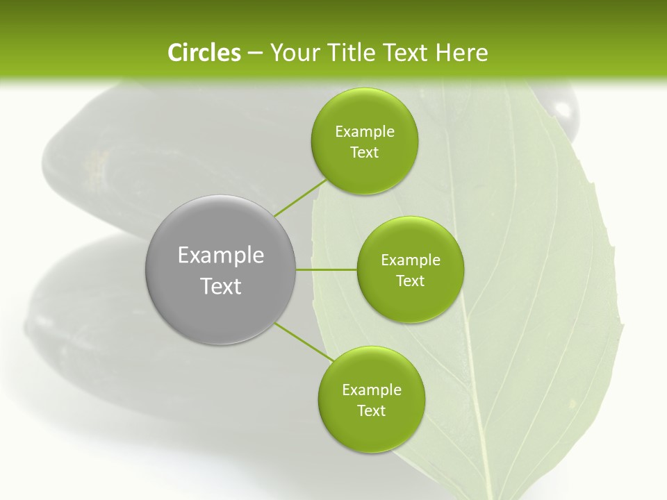 Stone Bamboo Back PowerPoint Template