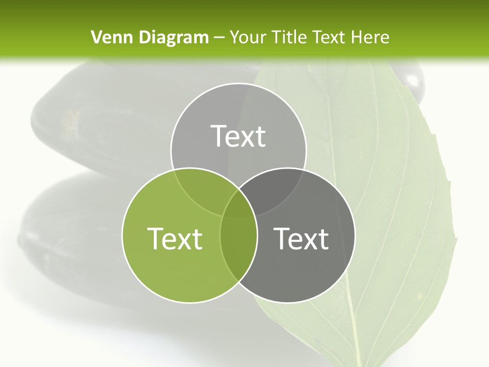 Stone Bamboo Back PowerPoint Template