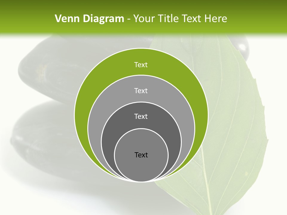 Stone Bamboo Back PowerPoint Template