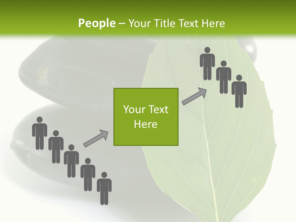 Stone Bamboo Back PowerPoint Template