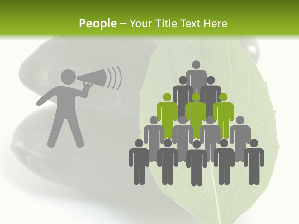 Stone Bamboo Back PowerPoint Template