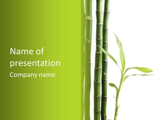 Decoration Life Isolate PowerPoint Template