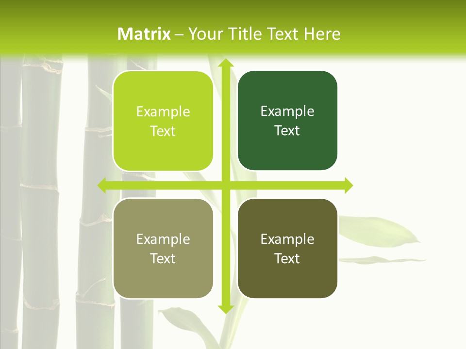 Decoration Life Isolate PowerPoint Template