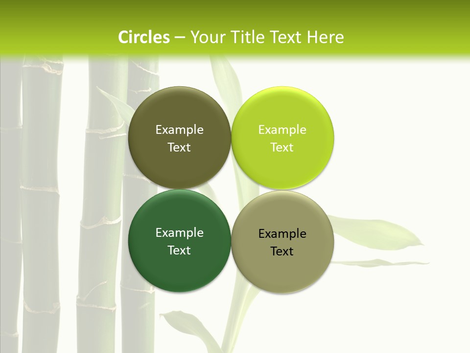 Decoration Life Isolate PowerPoint Template