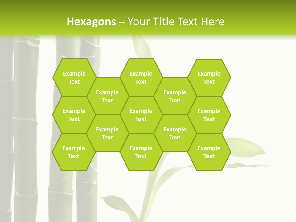 Decoration Life Isolate PowerPoint Template