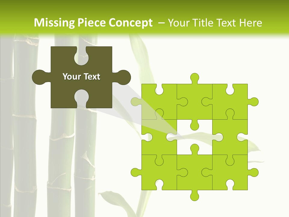 Decoration Life Isolate PowerPoint Template