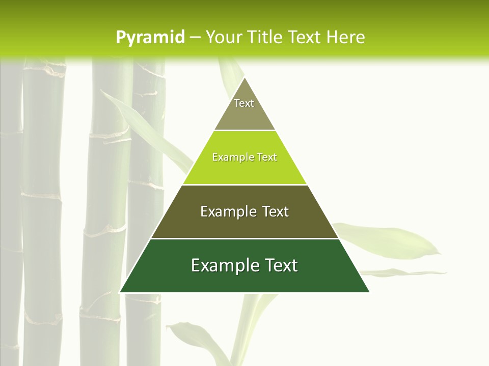 Decoration Life Isolate PowerPoint Template